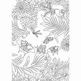 Coloriages Papillons Pratique sketch template