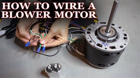 blower motor wiring diagram manual printable form templates  letter