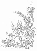 Vlinders Kleurplaten Bloemen Tekening Welke Afkomstig Bloem sketch template