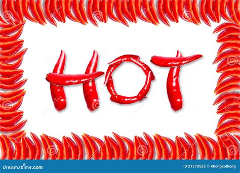 hot chili royalty  stock photo image