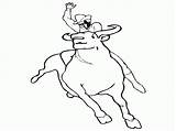 Bull Coloring Pages Riding Printable Bulls Chicago Bucking Drawing Ferdinand Color Matador Template Sheet Cowboy Draw Getdrawings Getcolorings Popular Realistic sketch template