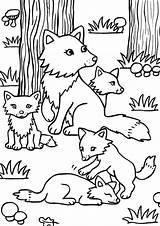 Tulamama Catdog Animal sketch template