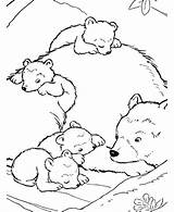 Grizzly Hibernation Hibernating Cubs Coloringhome Chipmunk Hibernate Clip License Codes Insertion sketch template