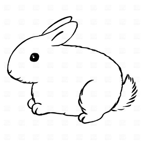 rabbit clipart outline   cliparts  images  clipground
