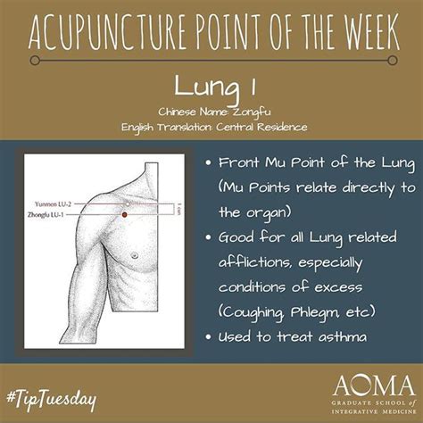85 best images about acupuncture on pinterest pressure