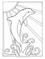 Dolphin Peasy sketch template