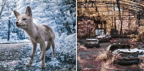 fotógrafo registra imagens chocantes de chernobyl 30 anos após o desastre os registros são