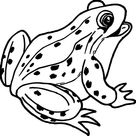 frog coloring pages png