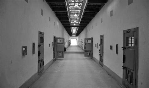 sexual predators rights take priority in prison the