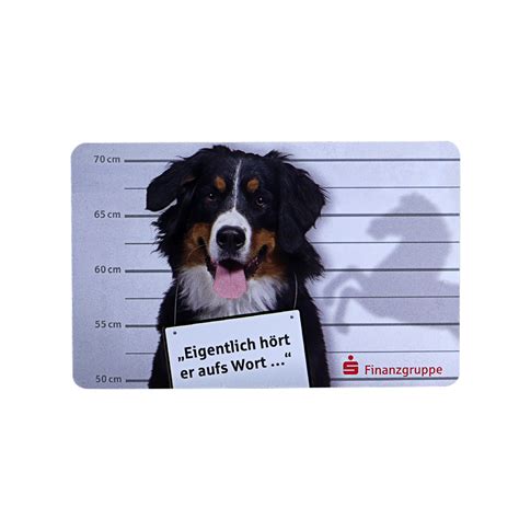 mm thickness pt dog photo pet store id card card supplier smart