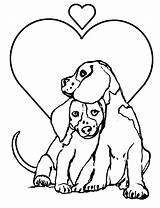 Coloring Pages Dog Animal Color Choose Board Printable Kids sketch template