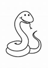 Snake Coloring Pages Copperhead Edupics sketch template