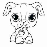 Coloring Pages Puppy Getdrawings Print sketch template