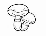Seta Cogumelo Colorir Suillus Setas Fungo Champignon Coloriage Desenhos Dibuix Mushroom Acolore Coloritou Dibuixos sketch template