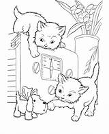 Coloring Pages Cats Cat Kittens Kitten Playing Kids Printable Puppies Puppy Oven Animal Three Cute Color Print Little Filminspector Book sketch template