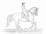 Dressage Horse Coloring Pages Color Horses Sketch Drawings Drawing Template Printable Print Deviantart Choose Board Animal Sketches Line sketch template