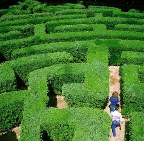 labyrinth sich  die irre fuehren lassen ist jetzt ein trend welt