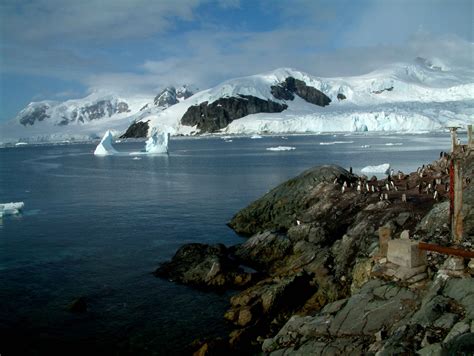 south shetland islands antarctica shetland islands antarctica