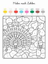 Zahlen Ausdrucken Kostenlos Ausmalen Coloring Ausmalbild Colorear Malvorlagen Pfau Numeros Pavo Erwachsene Schule Magique Erstaunlich Farben Crayola Malbilder Vorschule Familie sketch template