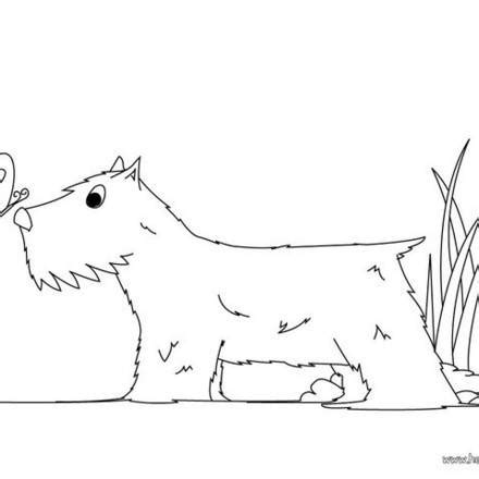 dog coloring pages   pets  animals coloring pages