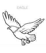 Eagle Coloring Pages Soaring Kids Sheet Flying Date Playinglearning sketch template