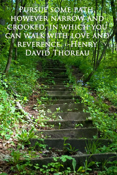 nature quote of the week by henry david thoreau nature and photography quotes thoreau