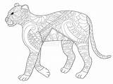 Panther Panter Pantera Volwassenen Adulti Kleuren Coloritura Tijger Moeilijke Dieren Panters Luipaard Tekening Zentangle Cartoondealer St3 Printen Rapia Ausmalbild sketch template