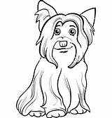 Yorkie Coloring Pages Dog Getdrawings sketch template