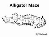 Maze Alligator Mazes Animal Kids Printable Museprintables Worksheets Pages Activity Choose Board sketch template