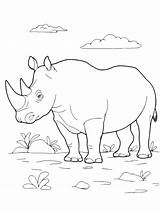 Rinoceronte Rinoceronti Disegnidacolorare sketch template