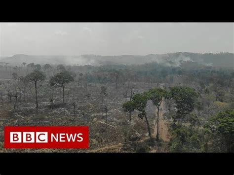 amazon fire ban bbc news youtube
