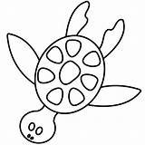 Clipart Turtles Turtle Clip Cute Designs sketch template