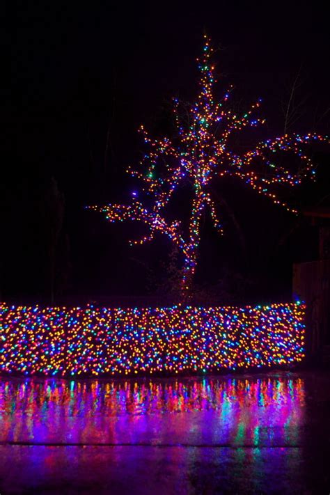 led lights  big gains  holiday decorations oregonlivecom