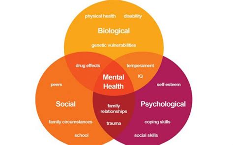 some types of mental disorders info psycho