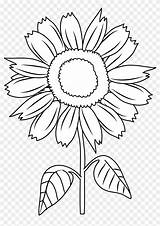 Sunflower Coloring Cartoon Flower Sun Pretty sketch template