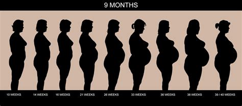 9 Months Of Pregnancy Finally Completed The Stages Of My