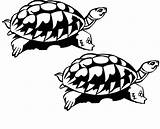 Schildpadden Dieren Animaatjes sketch template