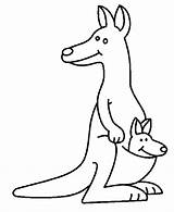 Coloring Kids Kangaroos Pages Para Dibujos Colorear Animales Canguros Dibujar Color Colouring Animals Pintar Funny Websincloud Print Faciles Printable Adult sketch template
