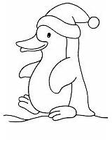 Pingouin Noel Pinguino Colorat Desenhos Planse Colorier Pinguini Coloriages Pinguim Pintarcolorir Fois Imprimé sketch template