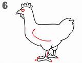 Chicken Draw Feet Way Sketch Biz Credit Larger sketch template