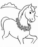 Coloring Horse Pages Cute Printable Riding Horseshoe Horses Kids Girl Funny Filly Pony Mustang Drawings Spirit Morgan Print Colouring Head sketch template