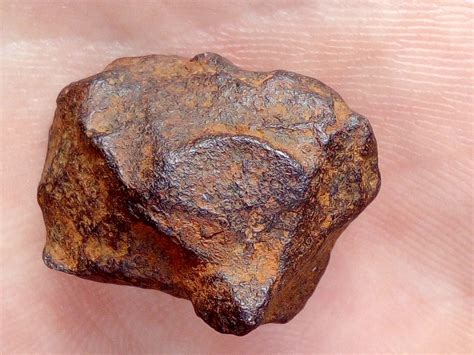 henbury iron meteorite  australia photo  specimen   paleo paul collection