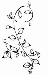 Vines Vine Sketch Drawing Rose Drawings Flower Easy Draw Flowers Sketches Ivy Getdrawings Paintingvalley sketch template