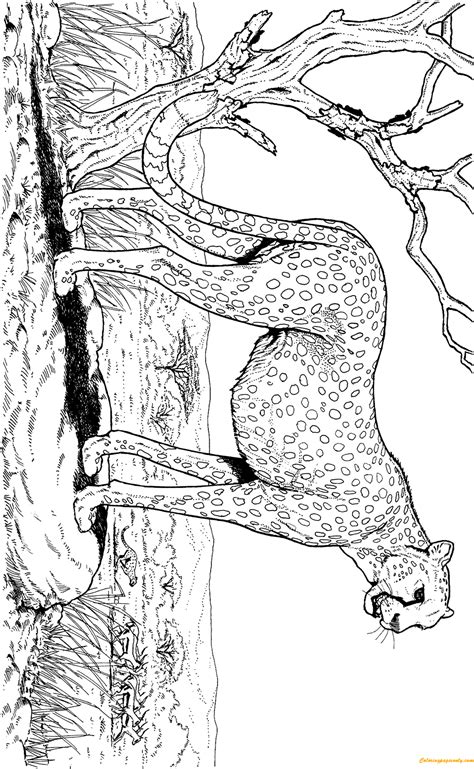 nature animal coloring pages wild animal coloring pages
