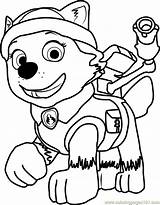 Patrol Paw Coloring Everest Pages Skye Color Kids Print Printable Online Getcolorings Coloringpages101 Coloringpagesonly sketch template