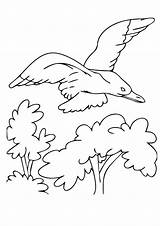 Seagull Coloring Pages Sheet sketch template