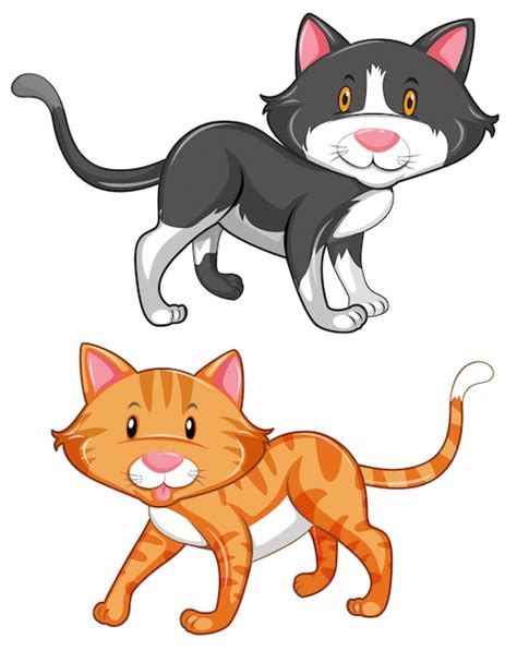 cute cats  white background vector