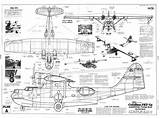Catalina Consolidated sketch template