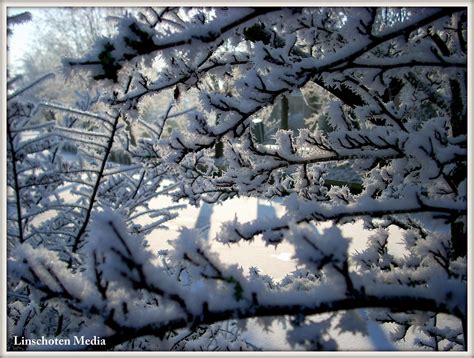 linschoten winter  linschoten media linschoten op  flickr
