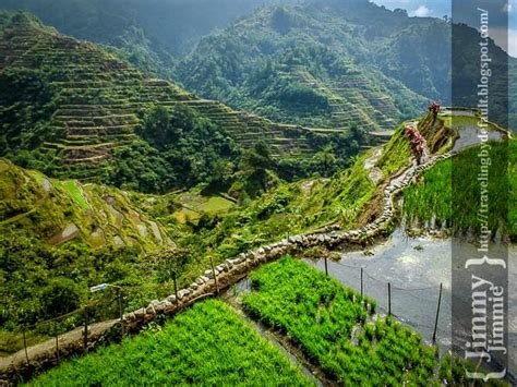 Ifugao Banaue Rice Terraces Tour By Tricycle Traveling